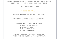 Dark Indigo Classy Violin Icons Concert Program - 7